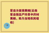蒙自冷泉镇黄精(云南蒙自镇出产珍贵中药材黄精，助力当地农民增收)