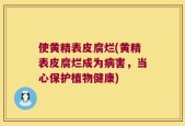 使黄精表皮腐烂(黄精表皮腐烂成为病害，当心保护植物健康)