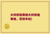 大妈移栽黄精大妈移植黄精，获得丰收)