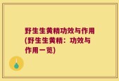 野生生黄精功效与作用(野生生黄精：功效与作用一览)