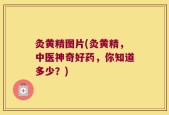 灸黄精图片(灸黄精，中医神奇好药，你知道多少？)