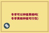 冬季可以种植黄精吗(冬季黄精种植可行性)