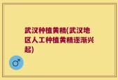 武汉种植黄精(武汉地区人工种植黄精逐渐兴起)