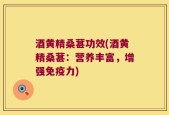 酒黄精桑葚功效(酒黄精桑葚：营养丰富，增强免疫力)