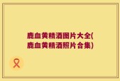 鹿血黄精酒图片大全(鹿血黄精酒照片合集)