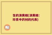 生的滇黄精(滇黄精：珍贵中药材的代表)