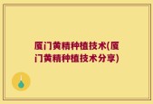 厦门黄精种植技术(厦门黄精种植技术分享)