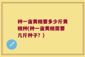 种一亩黄精要多少斤黄精种(种一亩黄精需要几斤种子？)
