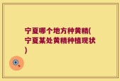 宁夏哪个地方种黄精(宁夏某处黄精种植现状)