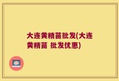 大连黄精苗批发(大连黄精苗 批发优惠)