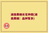 湖南黄精长见种类(湖南黄精：品种繁多)