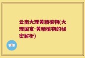 云南大理黄精植物(大理国宝-黄精植物的秘密解析)