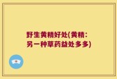 野生黄精好处(黄精：另一种草药益处多多)