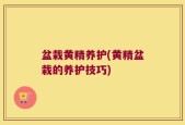 盆栽黄精养护(黄精盆栽的养护技巧)