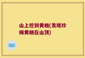 山上挖到黄精(发现珍稀黄精在山顶)