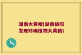 湖南大黄精(湖南益阳发现珍稀植物大黄精)