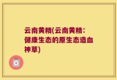 云南黄精(云南黄精：健康生态的原生态造血神草)
