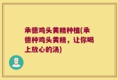 承德鸡头黄精种植(承德种鸡头黄精，让你喝上放心的汤)