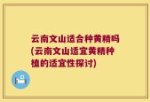云南文山适合种黄精吗(云南文山适宜黄精种植的适宜性探讨)