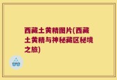 西藏土黄精图片(西藏土黄精与神秘藏区秘境之旅)