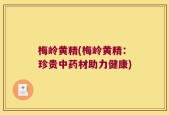 梅岭黄精(梅岭黄精：珍贵中药材助力健康)