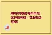 嵊州市黄精(嵊州市城区种植黄精，农业收益可观)