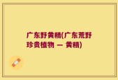 广东野黄精(广东荒野珍贵植物 — 黄精)