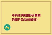 中药名黄精图片(黄精的图片及功效解析)