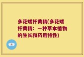 多花矮杆黄精(多花矮杆黄精：一种草本植物的生长和药用特性)
