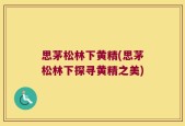 思茅松林下黄精(思茅松林下探寻黄精之美)