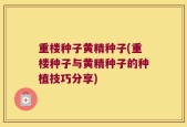 重楼种子黄精种子(重楼种子与黄精种子的种植技巧分享)