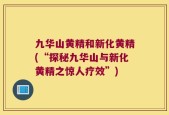 九华山黄精和新化黄精(“探秘九华山与新化黄精之惊人疗效”)