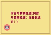 何首乌黄精桂圆(何首乌黄精桂圆：滋补就选它！)