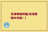 天津黄精种植(天津黄精大丰收！)