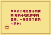 中草药小地瓜样子的黄精(草药小地瓜样子的黄精：一种值得了解的中药材)