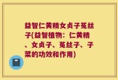 益智仁黄精女贞子菟丝子(益智植物：仁黄精、女贞子、菟丝子、子菜的功效和作用)