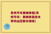 贵州岑巩黄精移栽(贵州岑巩：黄精移栽技术带动山区群众增收)