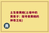 土生姜黄精(土壤中的黄姜子：探寻姜黄精的神奇之处)