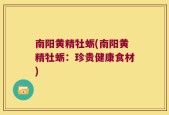 南阳黄精牡蛎(南阳黄精牡蛎：珍贵健康食材)