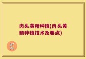 肉头黄精种植(肉头黄精种植技术及要点)