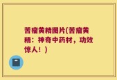 苦瘤黄精图片(苦瘤黄精：神奇中药材，功效惊人！)