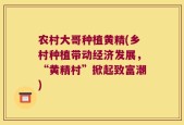 农村大哥种植黄精(乡村种植带动经济发展，“黄精村”掀起致富潮)