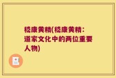 嵇康黄精(嵇康黄精：道家文化中的两位重要人物)