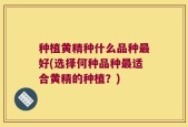 种植黄精种什么品种最好(选择何种品种最适合黄精的种植？)
