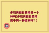 多花黄精和黄精是一个种吗(多花黄精和黄精属于同一种植物吗？)