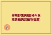 郴州野生黄精(郴州发现黄精天然植物资源)