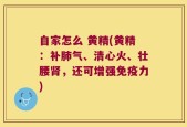 自家怎么 黄精(黄精：补肺气、清心火、壮腰肾，还可增强免疫力)