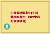 牛膝黄精槲寄生(牛膝黄精槲寄生：四种中药的强强联合)