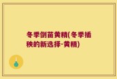 冬季倒苗黄精(冬季插秧的新选择-黄精)