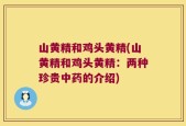 山黄精和鸡头黄精(山黄精和鸡头黄精：两种珍贵中药的介绍)